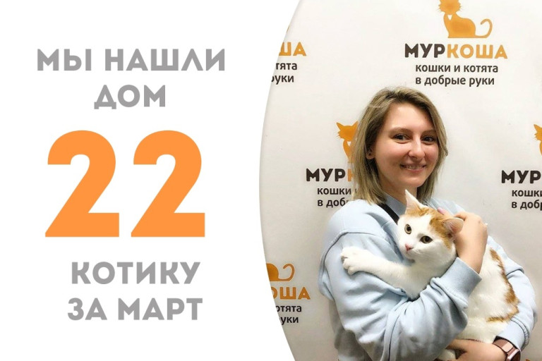 Годовалый Сенека стал домашним!