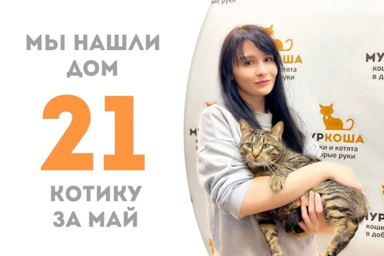 Кот Симпус снова стал домашним!