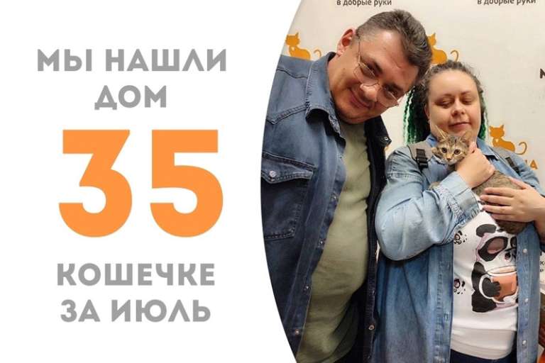 Меньше двух месяцев понадобилось Скрипке, чтобы оказаться дома!