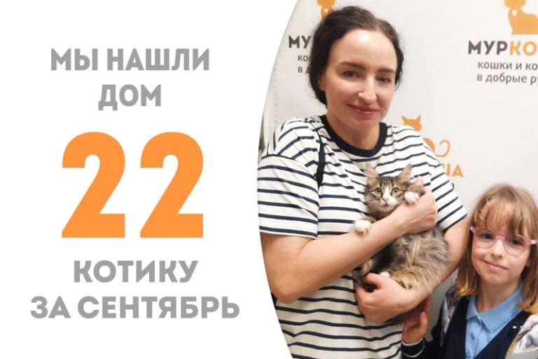 Сольфеджио теперь будет мурлыкать-звучать только дома!