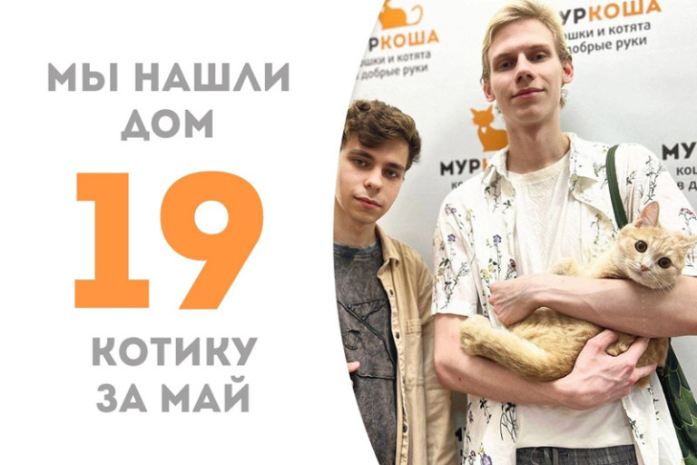 Котёнок Спичкин снова стал домашним, проведя всего месяц в приюте!