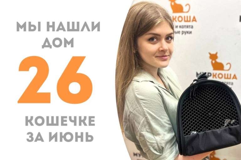 Кошка Сушечка стала домашней любимицей!