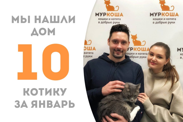 Годовалый котик Светлячок стал домашним мурлыкой!
