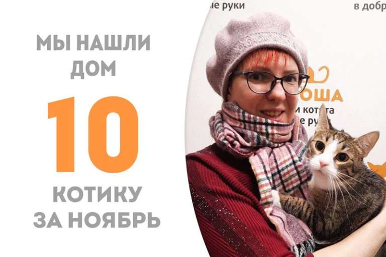 Тимофеич теперь домашний!