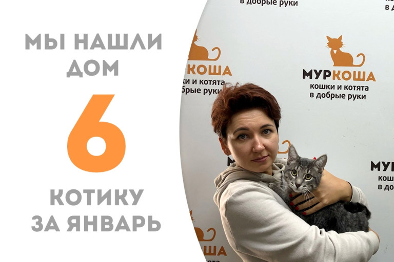 Котёнок Вейс нашёл своего человека, пробыв десять дней в приюте!