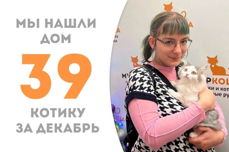 Чуть более месяца понадобилось прекрасному Авантюрину, чтобы выбрать себе добрую хозяйку!