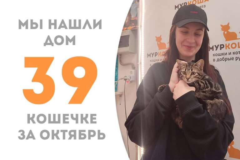 Аяна провела с нами менее трёх месяцев и повстречала свою хозяйку!