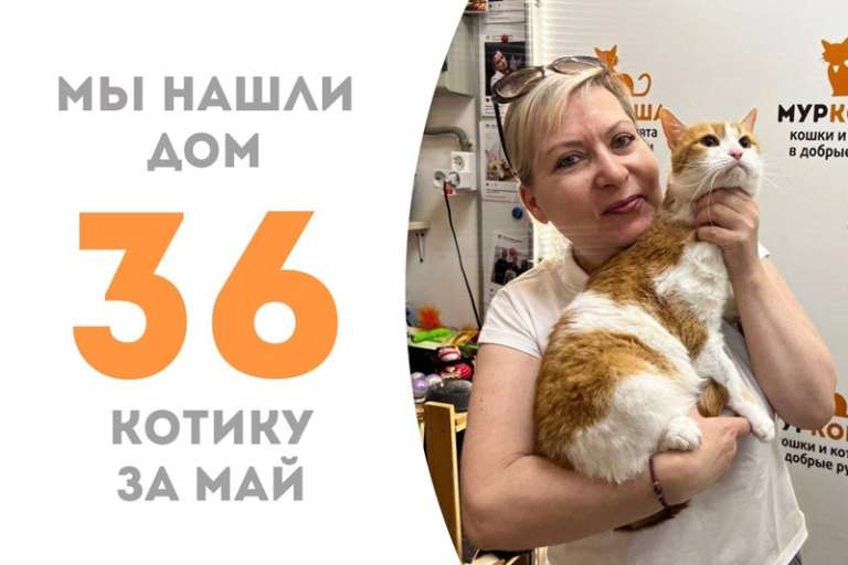 Драже снова домашний!