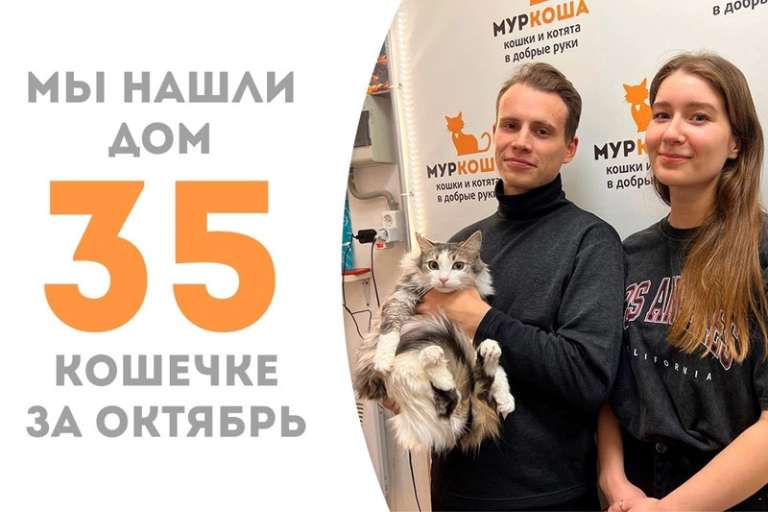 Элоиза снова домашняя!