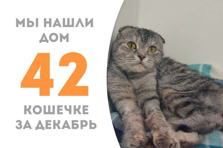 Лапушка Эмбер всего за месяц обрела семью!
