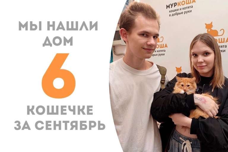 Ферги становится счастливицей спустя два месяца пребывания в приюте!