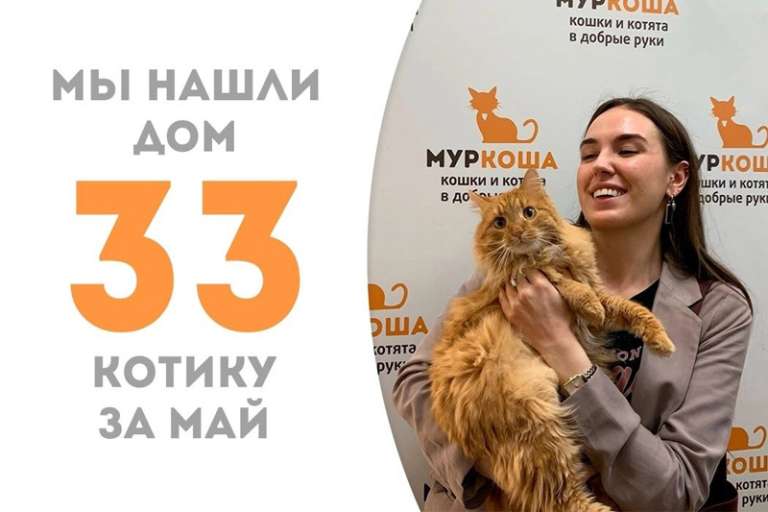 Чуть больше трех месяцев понадобилось Флирту, чтобы уехать в семью, где его ждёт наш выпускник Каору!