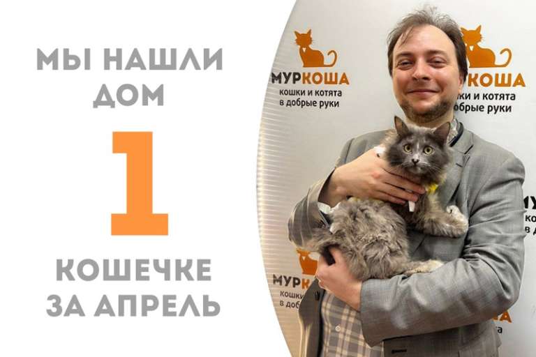 Пышношубная красавица Фьюжн встретила своего человека!