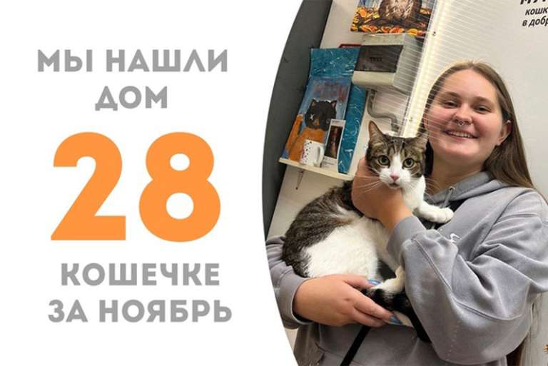 Муронька Геппа уехала домой!