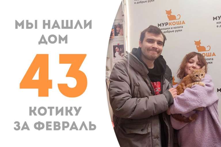 Глинтвейн нашёл свою семью за полтора месяца пребывания в приюте!