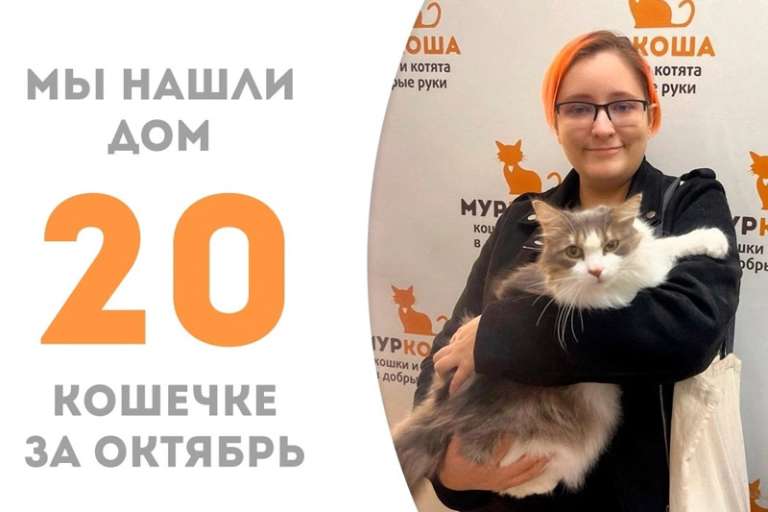 Идиллия воцаряется в доме, где уже живёт наша выпускница Юстыся!