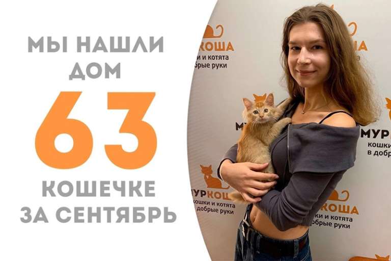 Всего за один месяц солнечная Испания обрела домашний очаг!