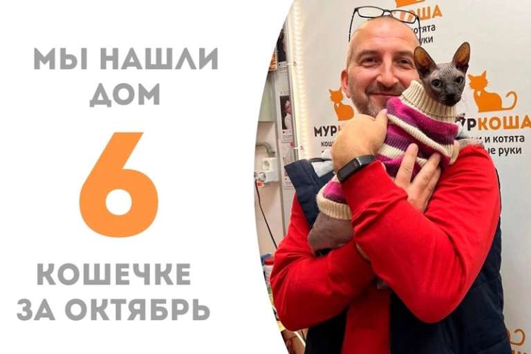 Хомми встретила своего человека!