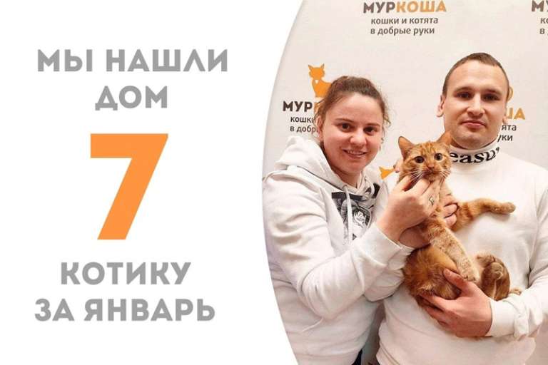 Клементин встретил свою настоящую семью и стал домашним!