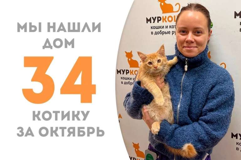 Меньше двух месяцев потребовалось Кораллу, чтобы оказаться в домашней гавани!