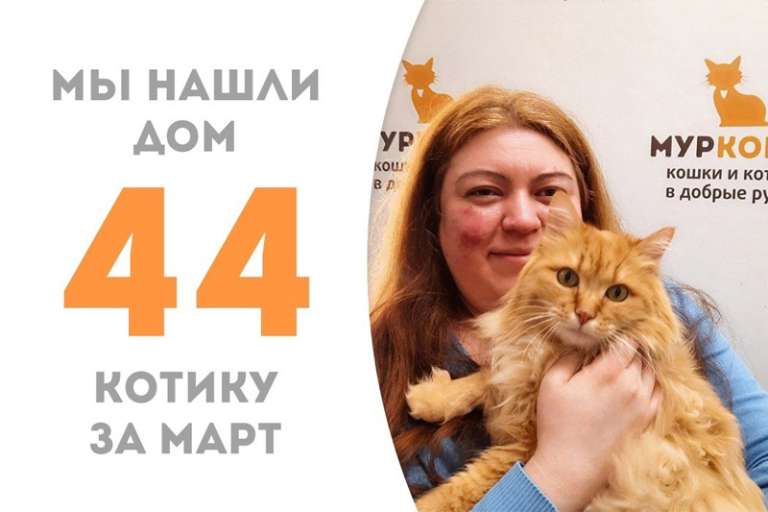 Прощаемся с пушистыми щечками Кошарика!