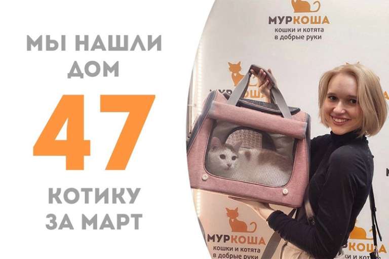 Добрейший Лачетти становится домашним!