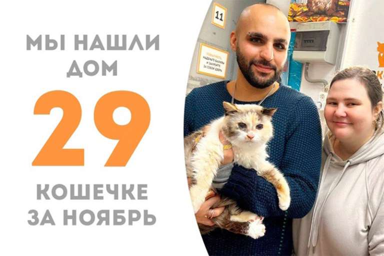 Невероятная Лилуна обрела семью!