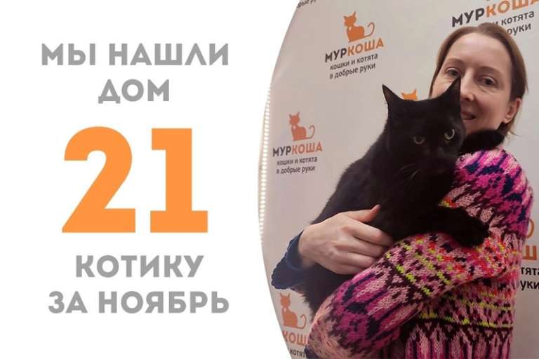 Кот Люций отправился в новый дом!