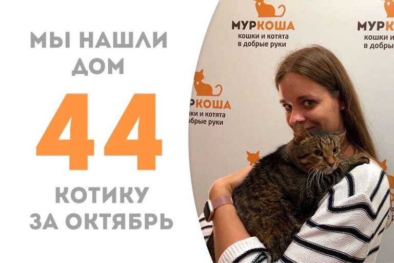 Масилёк встретил своего человека!