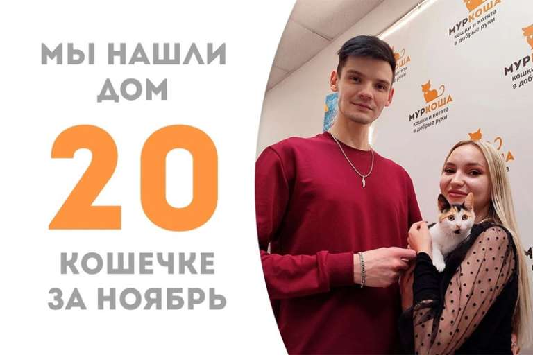 Меньше месяца потребовалось Матрёшке, чтобы стать домашней!