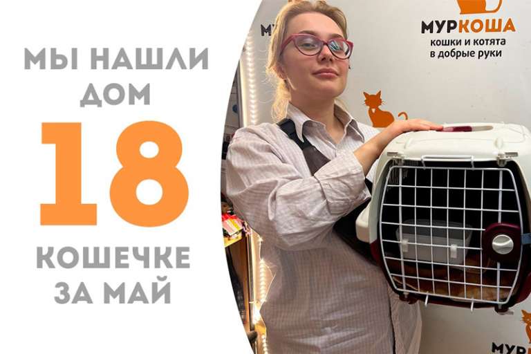 Мэнни становится домашней!