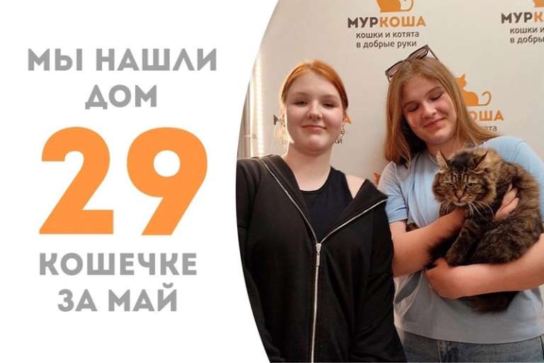 Булочка Морико уезжает к Кинсе!