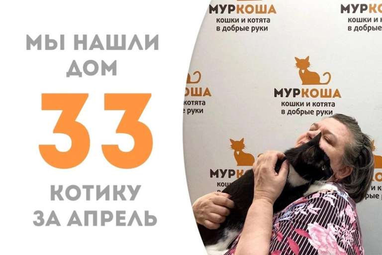 Пинкотик подобрал пароль к сердцу хозяйки!