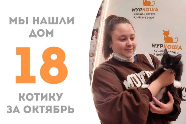 Пробыв у нас всего три недели малыш Прокси становится домашним!