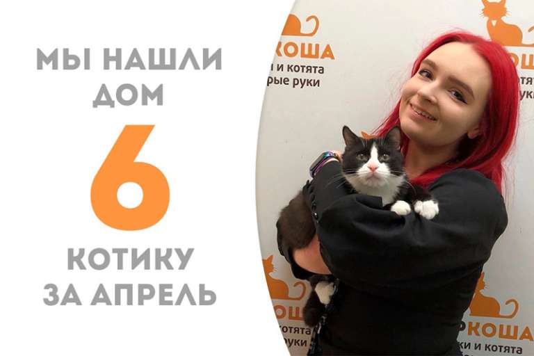 Малыш Райманд пробыл у нас менее 2 месяцев и собрал чемоданчики, отправившись к нашей администраторше Юлии!