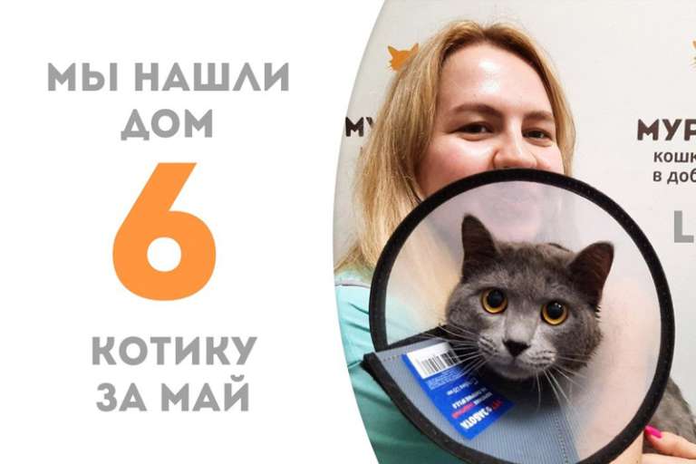 Милейший Рикс становится домашним!