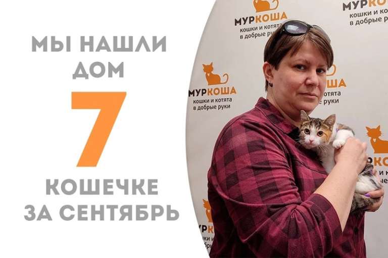 Менее трех месяцев понадобились Сазани, чтобы найти своего человека!