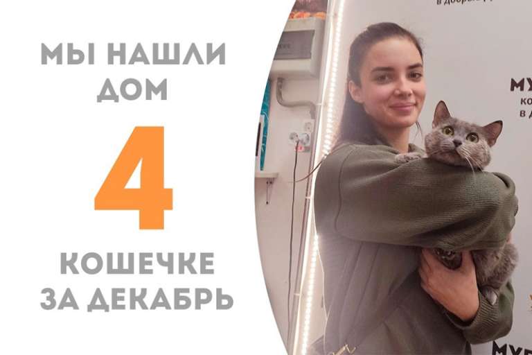 У невероятной красавицы Сфирки теперь есть и дом, и любовь!