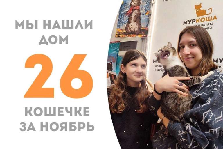 Шабли снова домашняя!