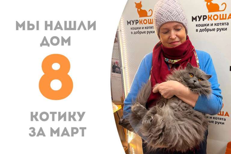 Наш благородный Шевалье снова обрёл дом!
