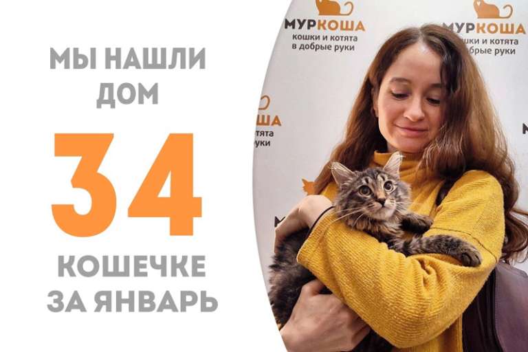 Штукатурка, проведя три месяца в приюте, повстречала свою хозяйку!