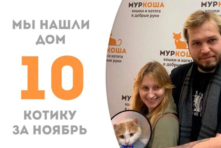Очаровательный Шутик попрощался с приютом!