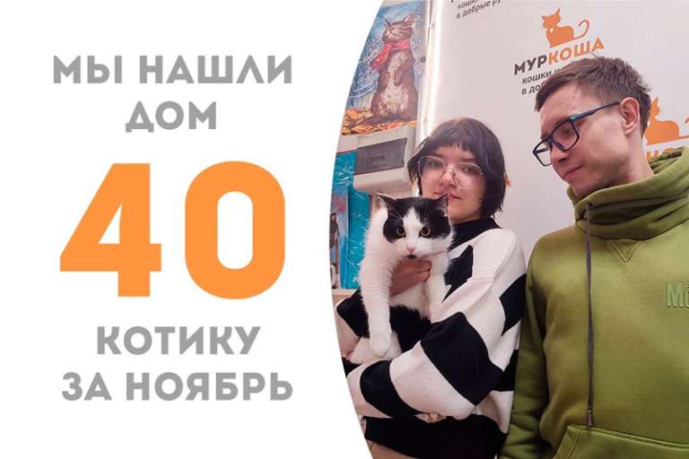 Ласкушик и обнимушик Сипиван уехал домой!