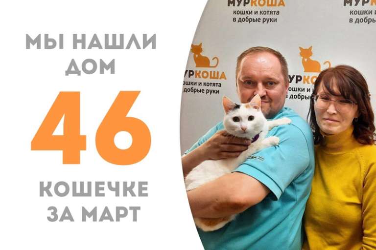 Особенная Сливка встретила своих людей!
