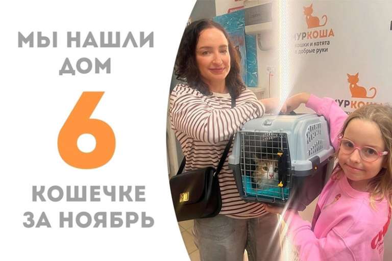 Сюита обрела свою семью!