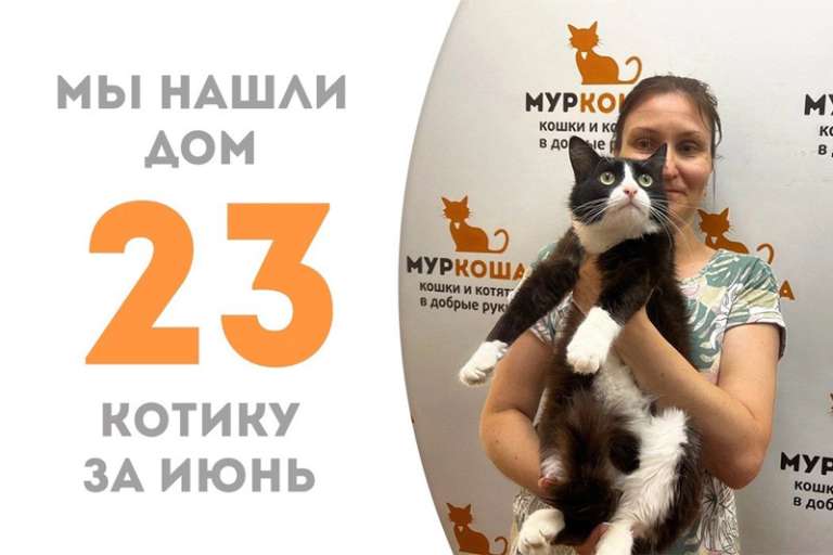 Варистор всего за месяц покорил свою хозяйку!