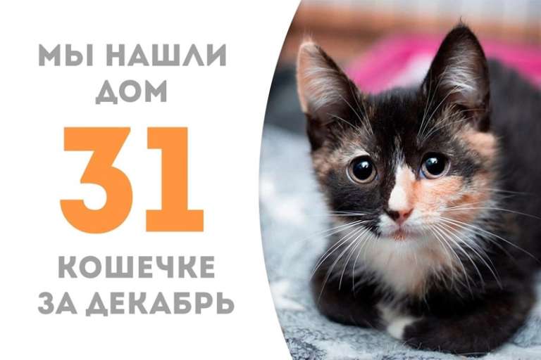 Вишенка вновь обрела счастье!