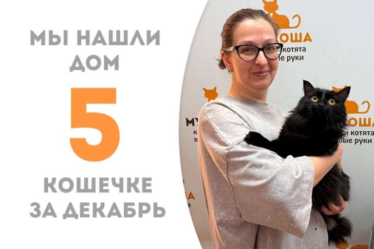 Черновласая Акула нашла дом!