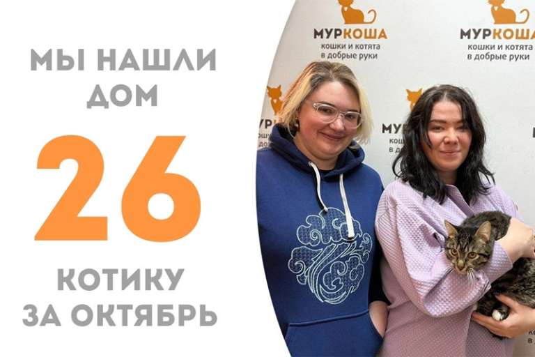 Полосатик Амато обрел дом!