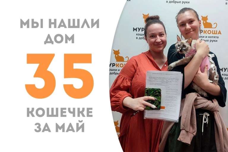 Аррива обрела свою семью!